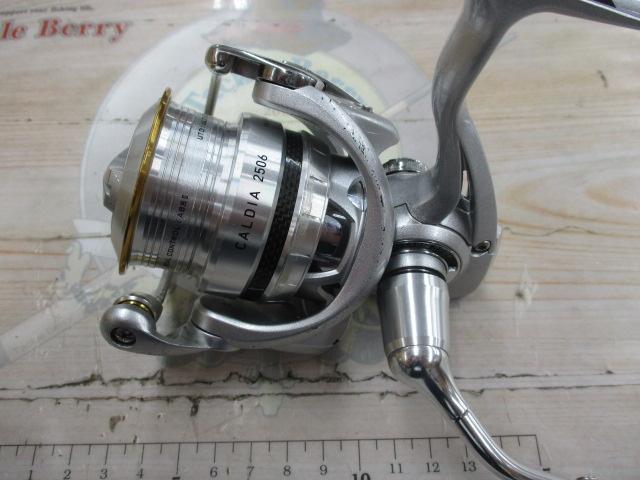 11カルディア 2506