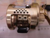 01カルカッタコンクエスト 100