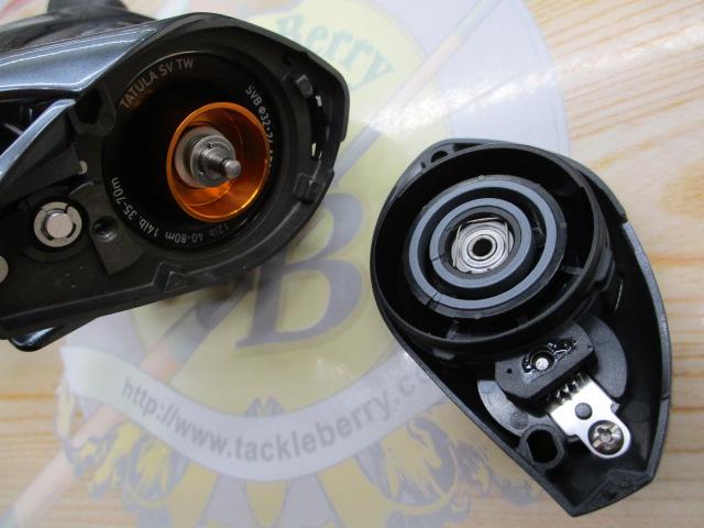 25タトゥーラ SV TW 100XH