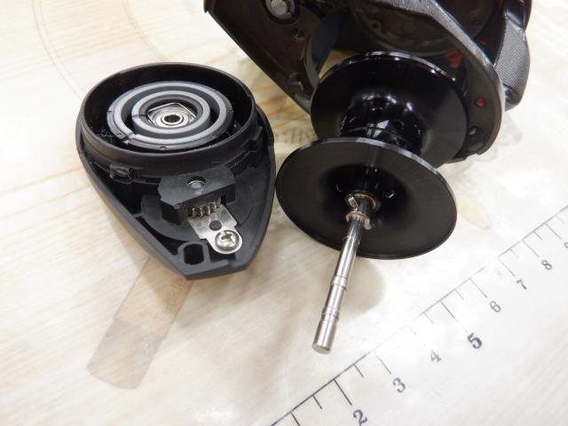 タトゥーラ TW 100SH