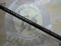 19ソルティーアドバンスエギング 83ML