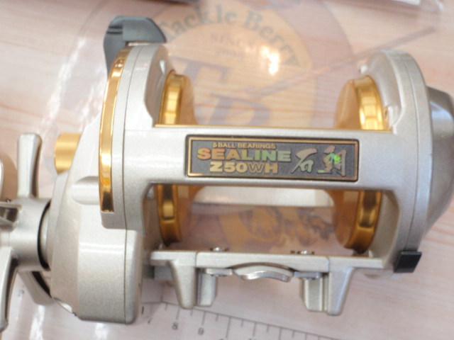 シーライン石鯛Z 50WH