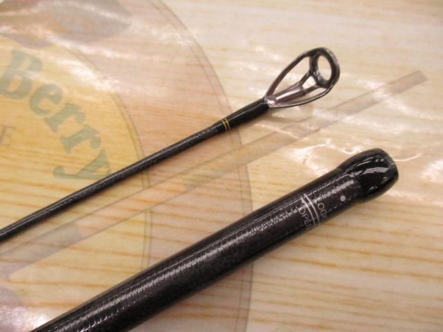 ネッサXR S110M/MH