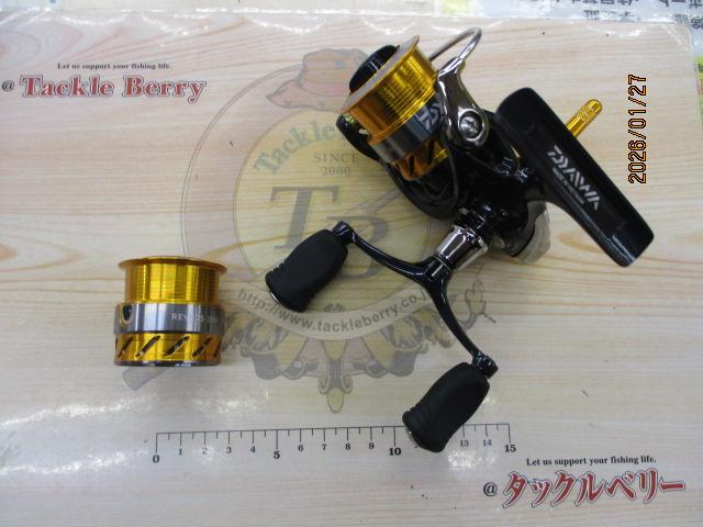 15レブロス 2004H-DH