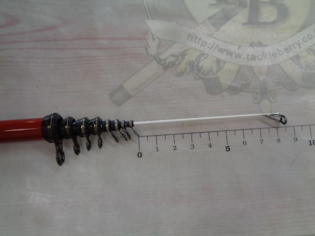 海上釣堀コアスペックⅡ 真鯛300