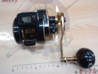 21ソルティガIC 300