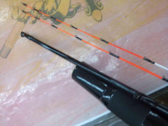 極イカダ誘い 165