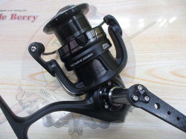 ロキサーニ 2500MSH