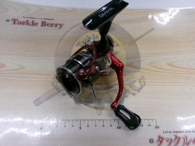 14月下美人 2004H