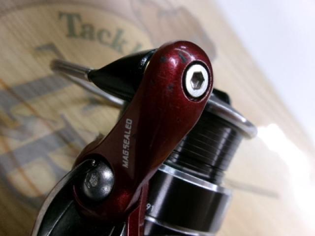 14月下美人 2004H