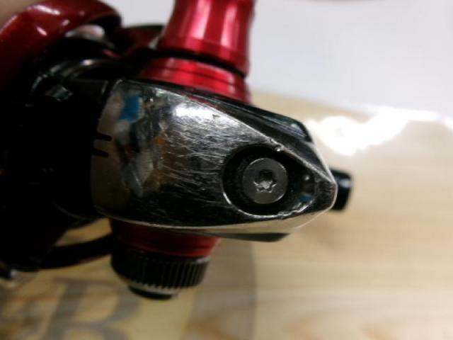 14月下美人 2004H