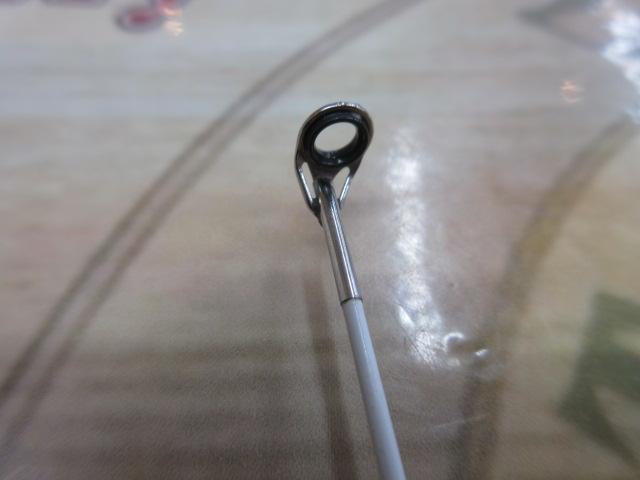 磯潮アオリトライアル 50