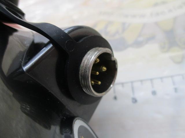 11電動丸 イカスペシャル