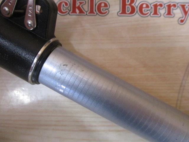 サーフリーダーEV 450CX-T