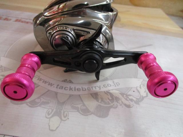 21アンタレスDC RH