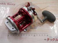 トーナメント石鯛Z 40