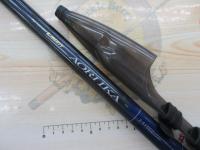 リバティアオリイカ 2-51