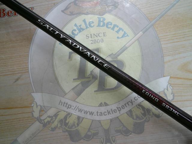 19ソルティーアドバンスエギング 83ML