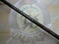 19ソルティーアドバンスエギング 83ML