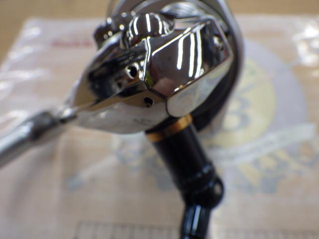 13バイオマスターSW 8000PG