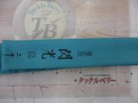 飛天弓 閃光R 21