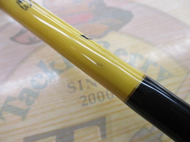 ゲーリー スピニングモデル1