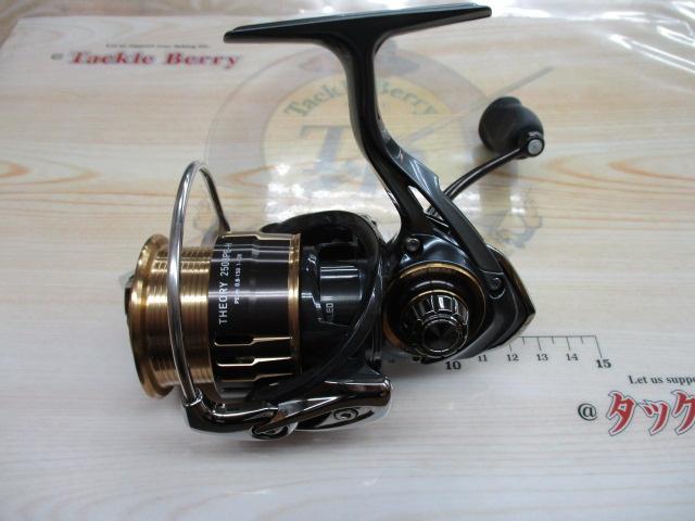 17セオリー 2508PE-H