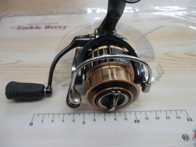 17セオリー 2508PE-H