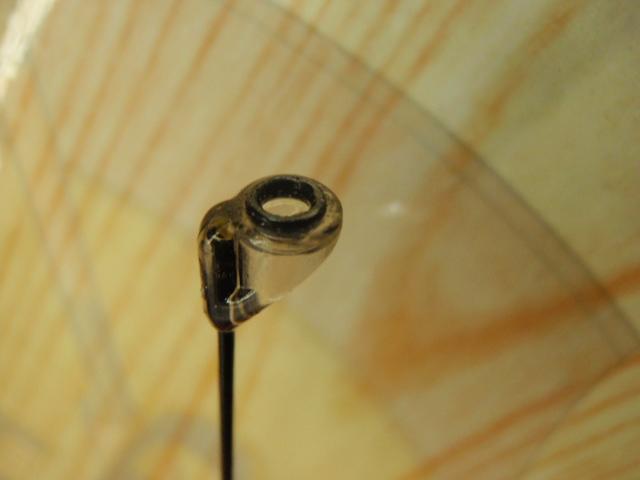 がま磯レセプターⅡ 2-53