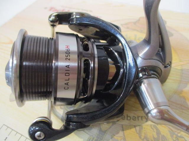 14カルディア 2506H