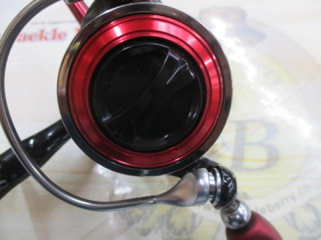 16月下美人 MX2004H