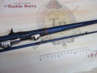 アクエアカレイ 小突45-180