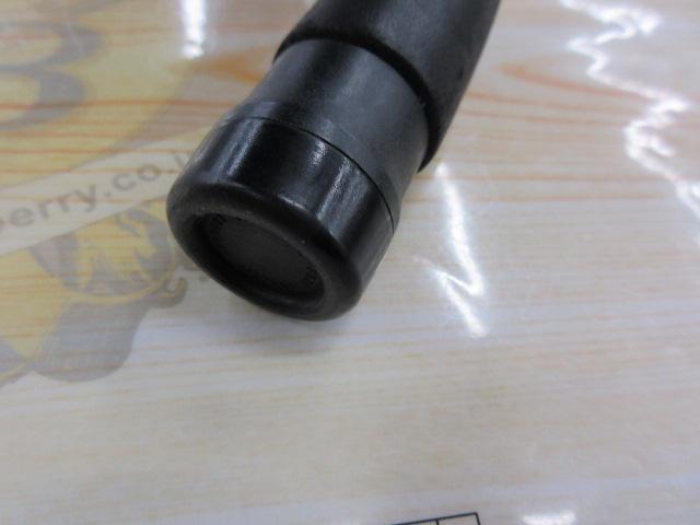 バッファロースタンス