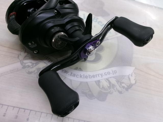 タトゥーラ TW 100XH