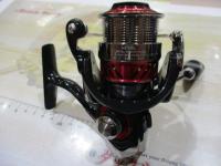 16月下美人 MX2004