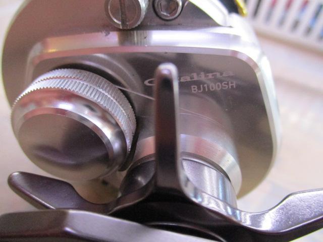 15キャタリナ BJ100SH