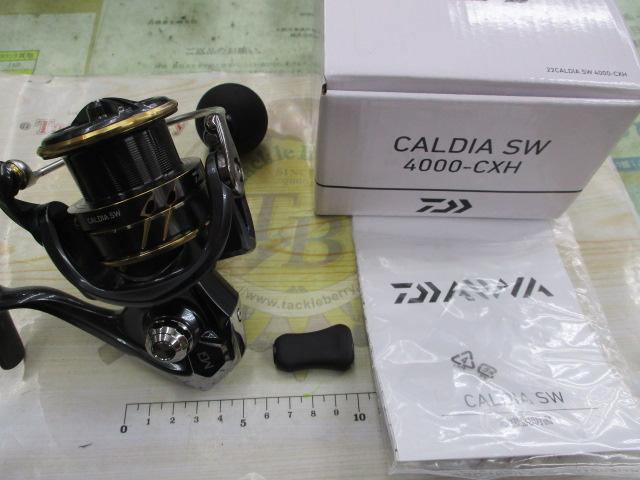 22カルディアSW 4000-CXH