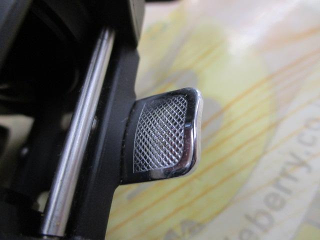 バンタムブラックマグナム100GT