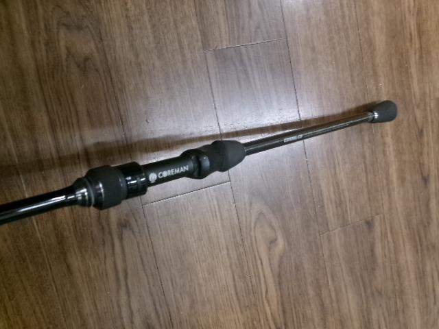 デイスター CDS86L-CS