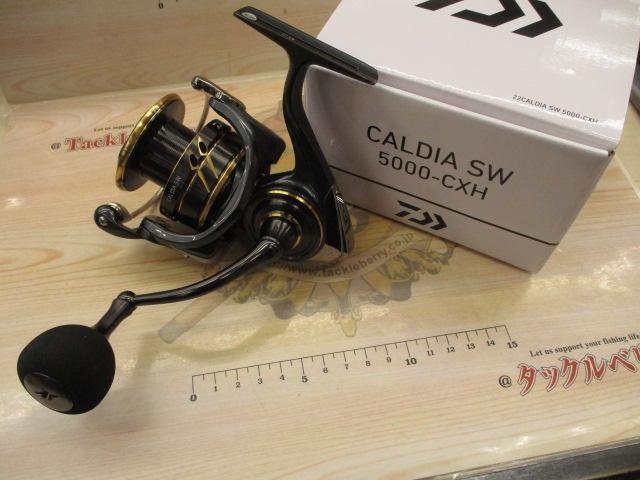 22カルディアSW 5000-CXH