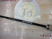 17エクスプライド 166M