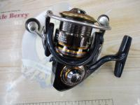 10セルテート 2004