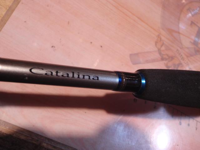 キャタリナBJ 66XXHB