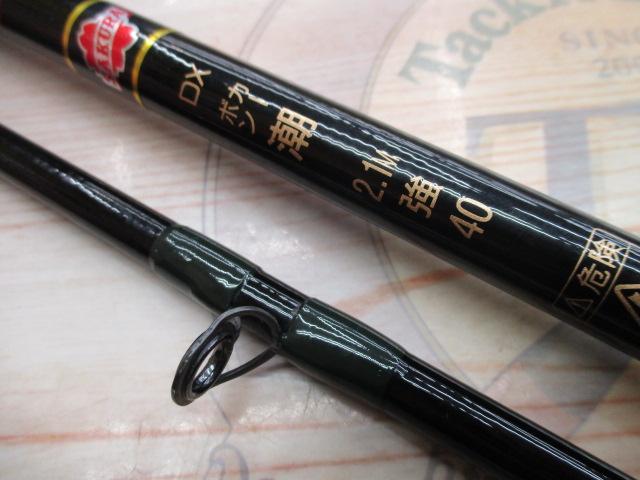 DXカーボン潮2.1強30-40