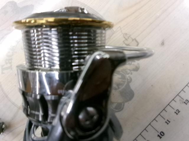 15ルビアス 2508PE-DH