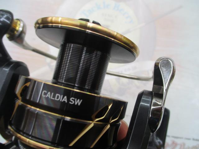 22カルディアSW 6000D-H