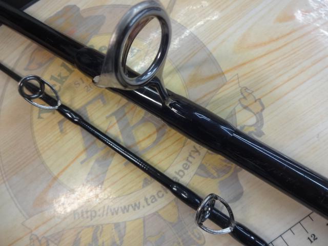 デフィーミュートス DMアキュラ 100HH (RGモデル/LC)