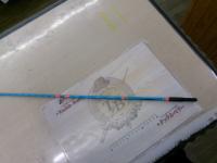 ガンディーニスパイダースティック ブルー