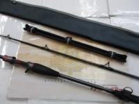 極鋭タチウオ テンヤSPEX AGS178