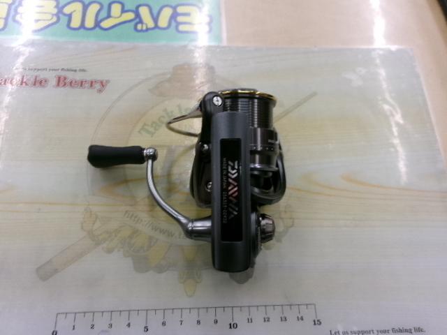 スティーズ タイプⅡ